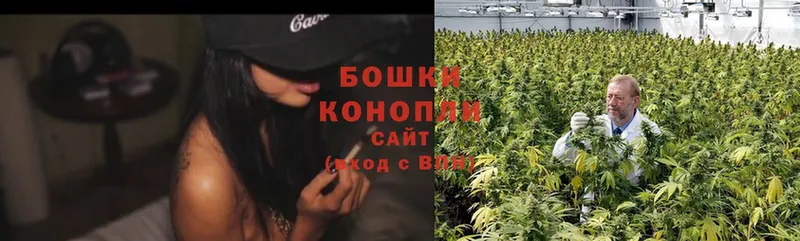 Шишки марихуана OG Kush  Артёмовский 